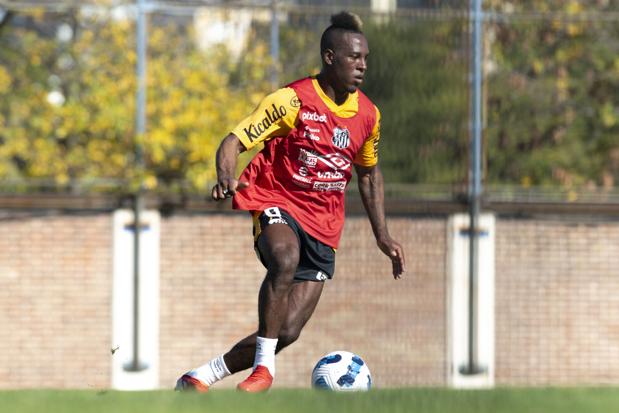 Angulo e Jhojan Julio são registrados no BID e viram opção para estreia do Santos no Brasileirão - Gazeta Esportiva