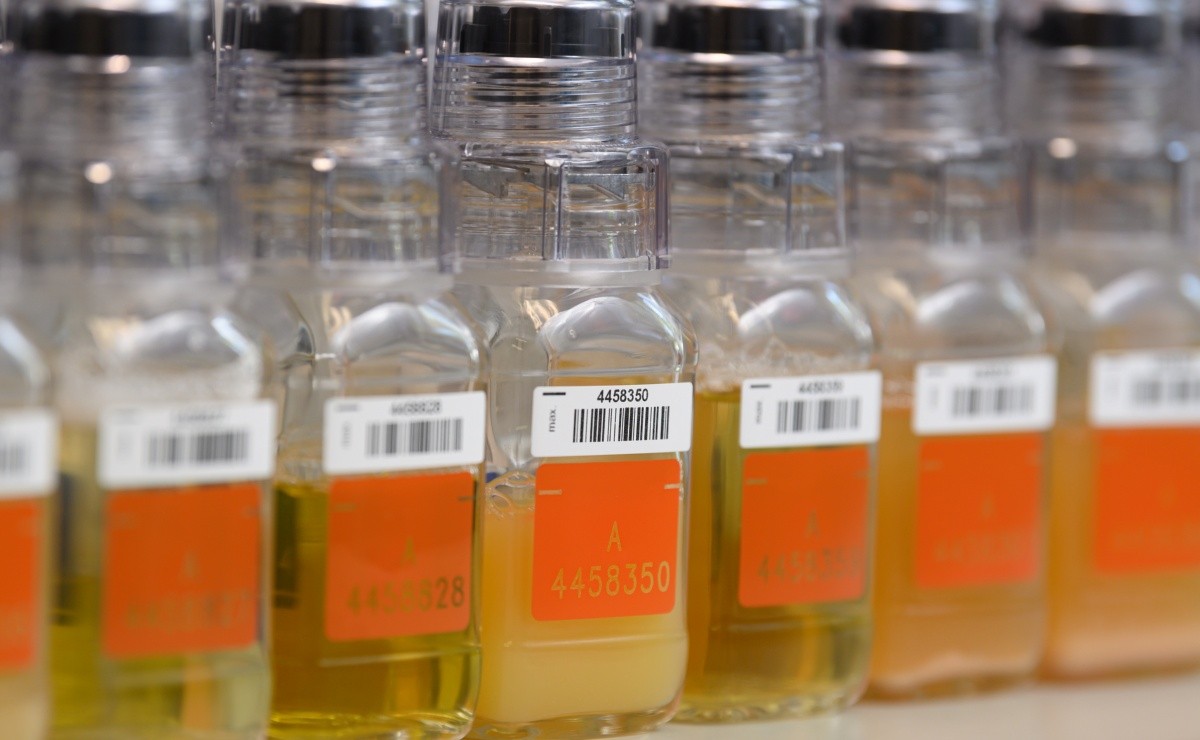 Deu ruim? Jogador do Corinthians é pego no doping e pode ficar suspenso por 4 anos - Somos Fanáticos Brasil