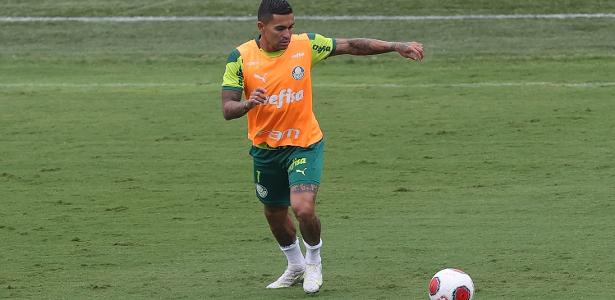 Dudu diz que vive melhor fase desde retorno ao Palmeiras - UOL Esporte