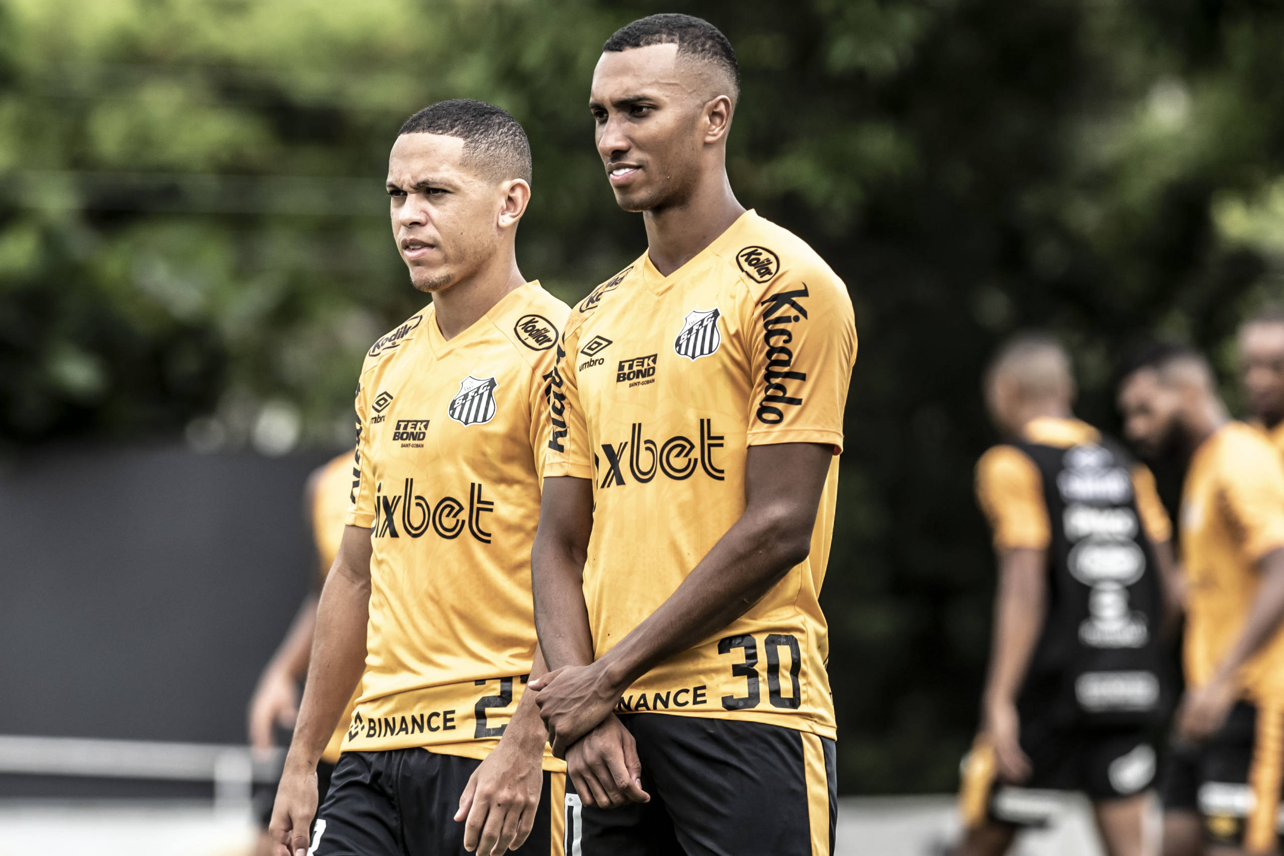 Fluminense x Santos: saiba onde assistir ao jogo válido pelo Brasileirão - Gazeta Esportiva