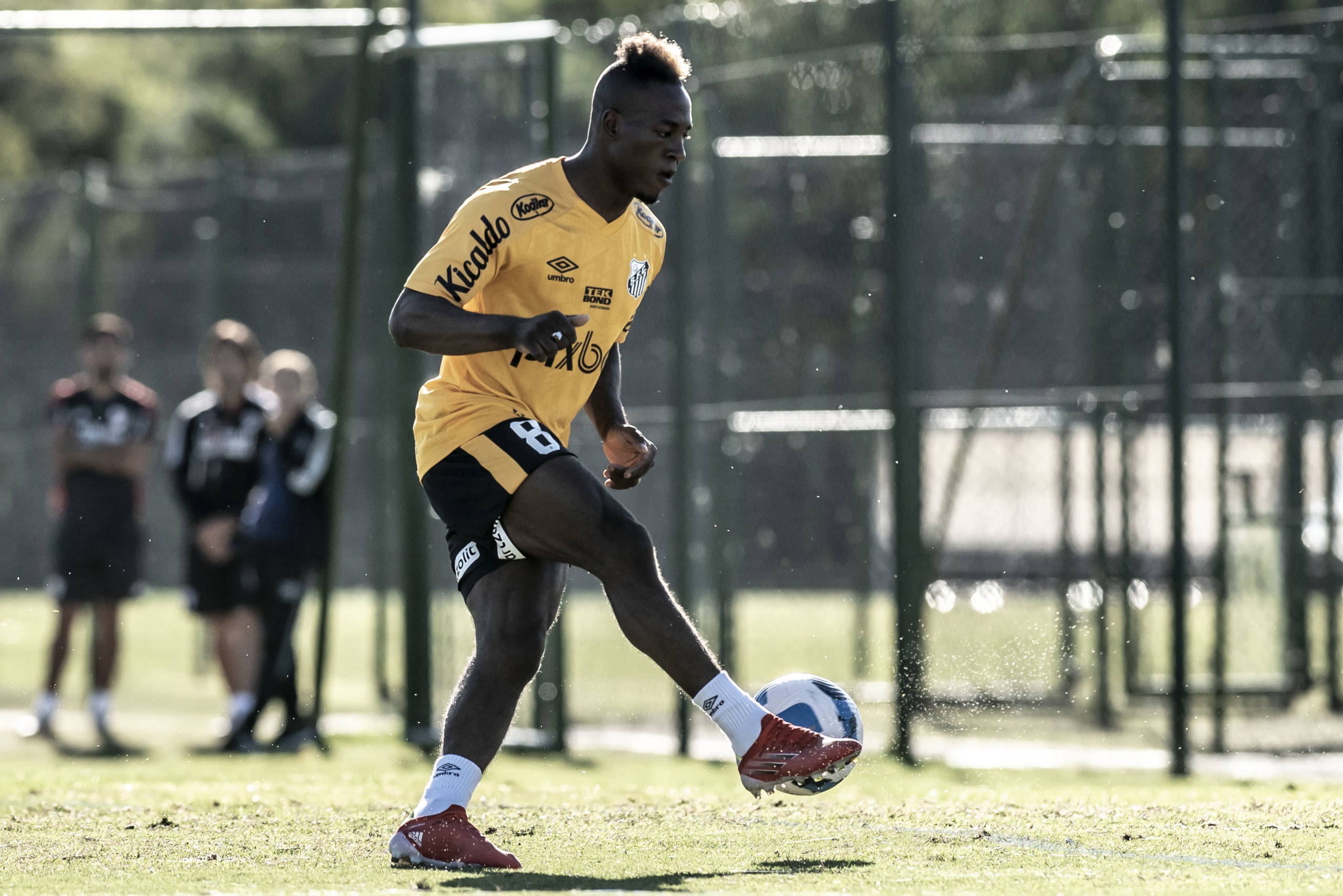 Jhojan Julio não aparece no BID e desfalca o Santos na estreia da Sul-Americana - Gazeta Esportiva